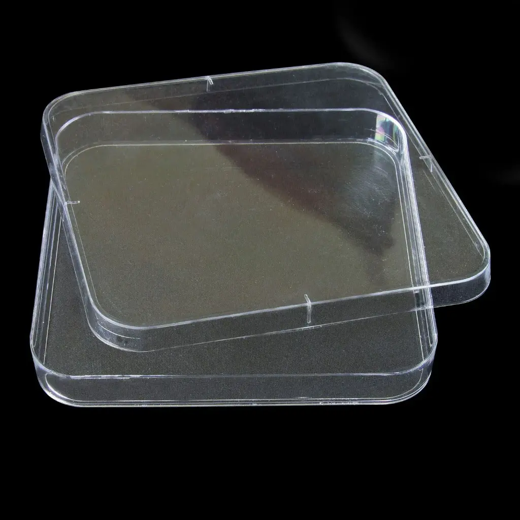 Square Petri Dishes
